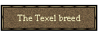 The Texel breed